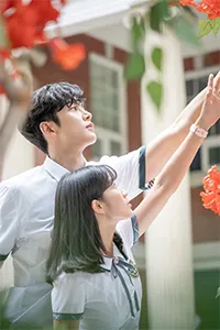 Vô Tình Tìm Thấy Haru