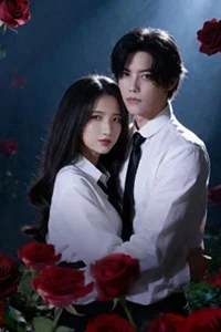 Cảm Giác Khi Rung Động Là Đây