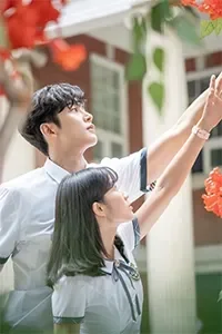 Vô Tình Tìm Thấy Haru